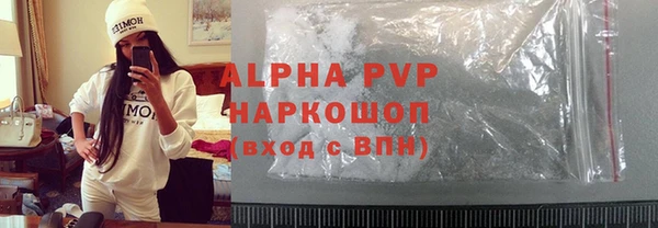 гашик Бородино