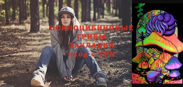 МДПВ Бугульма