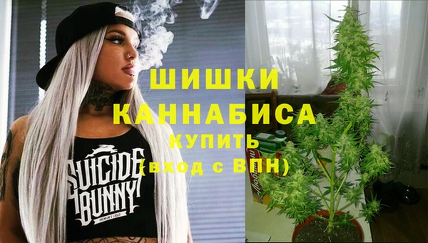 МДПВ Бугульма