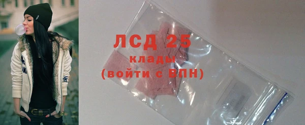 гашик Бородино