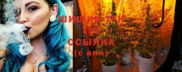 гашик Бородино