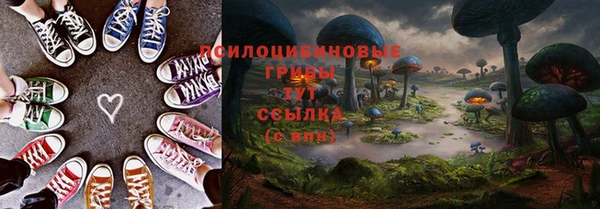 гашик Бородино