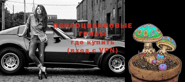 МДПВ Бугульма