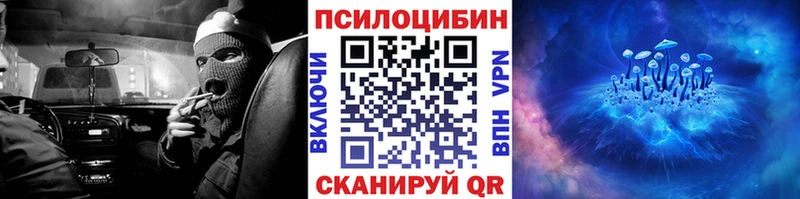 Галлюциногенные грибы GOLDEN TEACHER  купить наркоту  Черкесск 